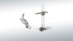 Uvodnik i vodilica creva