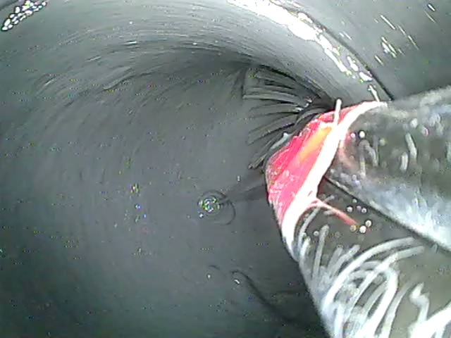 Picote DC1000E 100% Solids Epoxy Resin